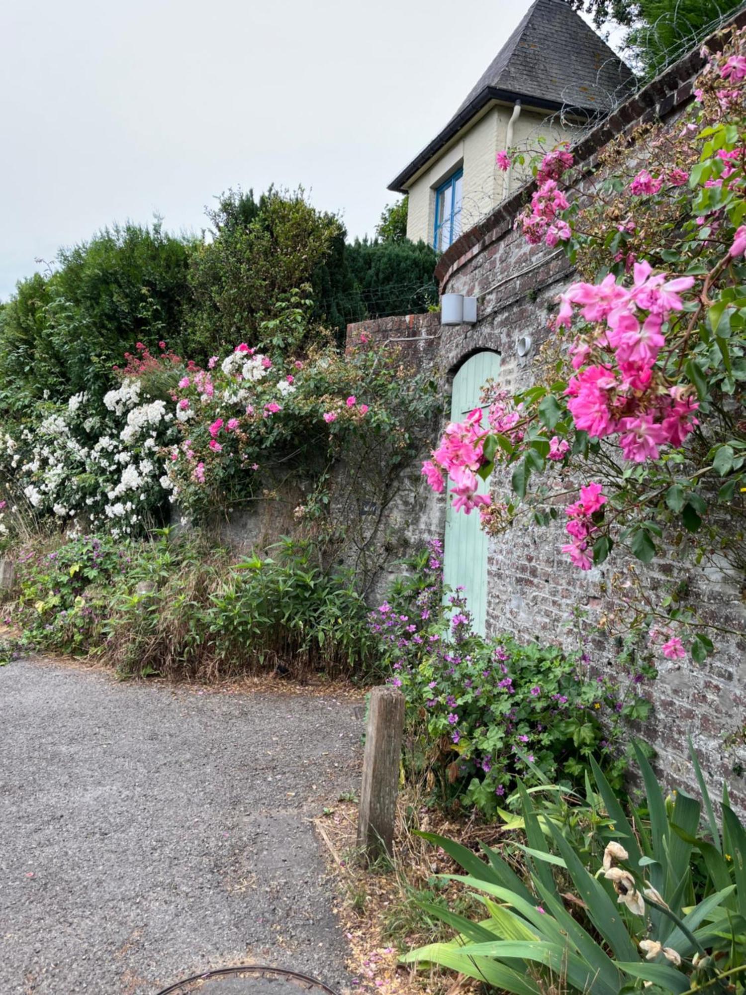 Le Petit Paradis Cassel Luaran gambar